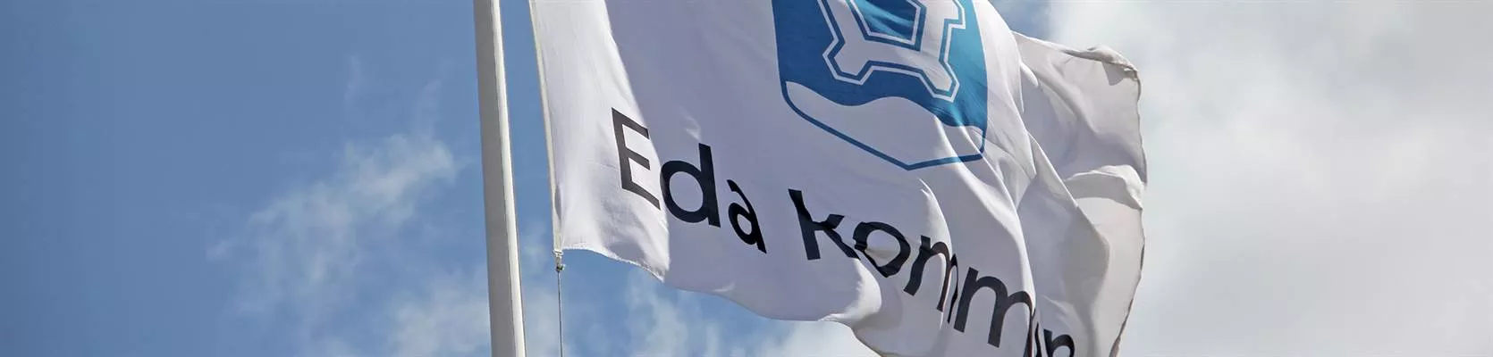 Bild på en flagga med himlen som bakgrund